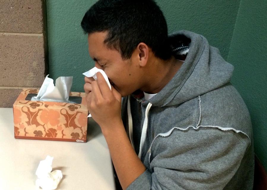Don't fear the flu