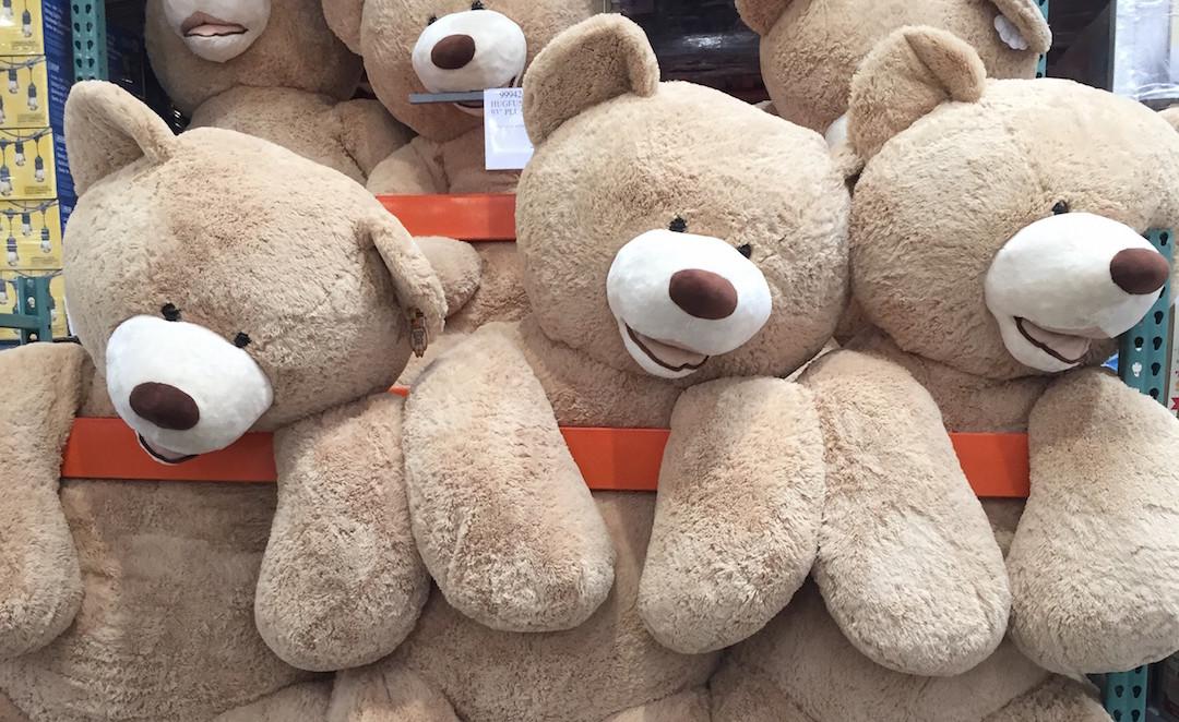 teddy bears for a cause