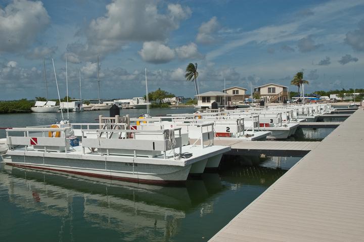 http://oceandoctor.org/seacamp-45-years-of-immersive-education-that-works/