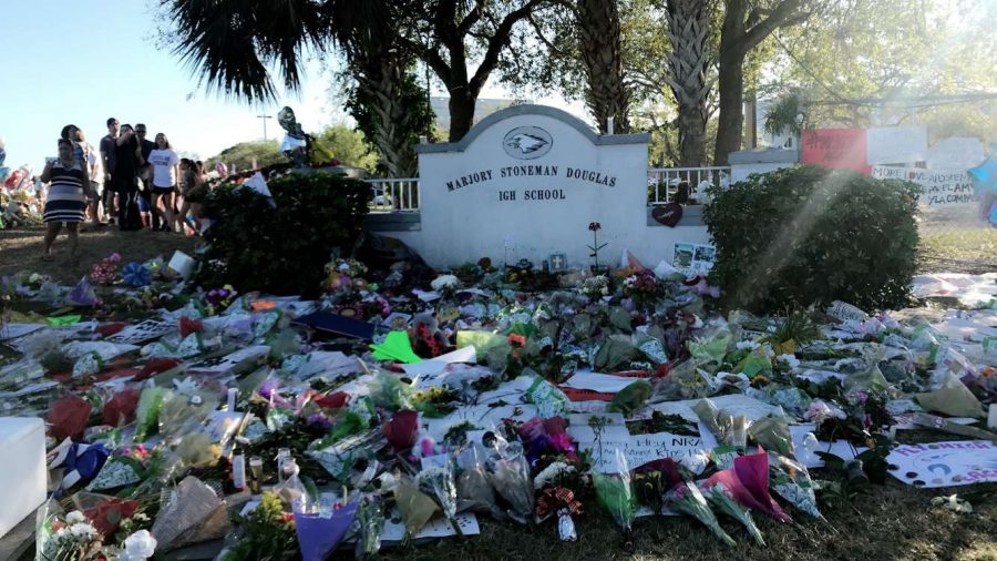 Photo taken by Keely Owen of the MSD memorial.