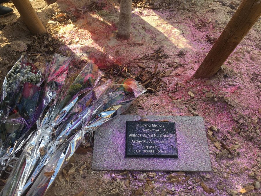 Rainbow glitter is sprinkled around the base of the tree to symbolize the color Ashley brought to the lives of many people. 