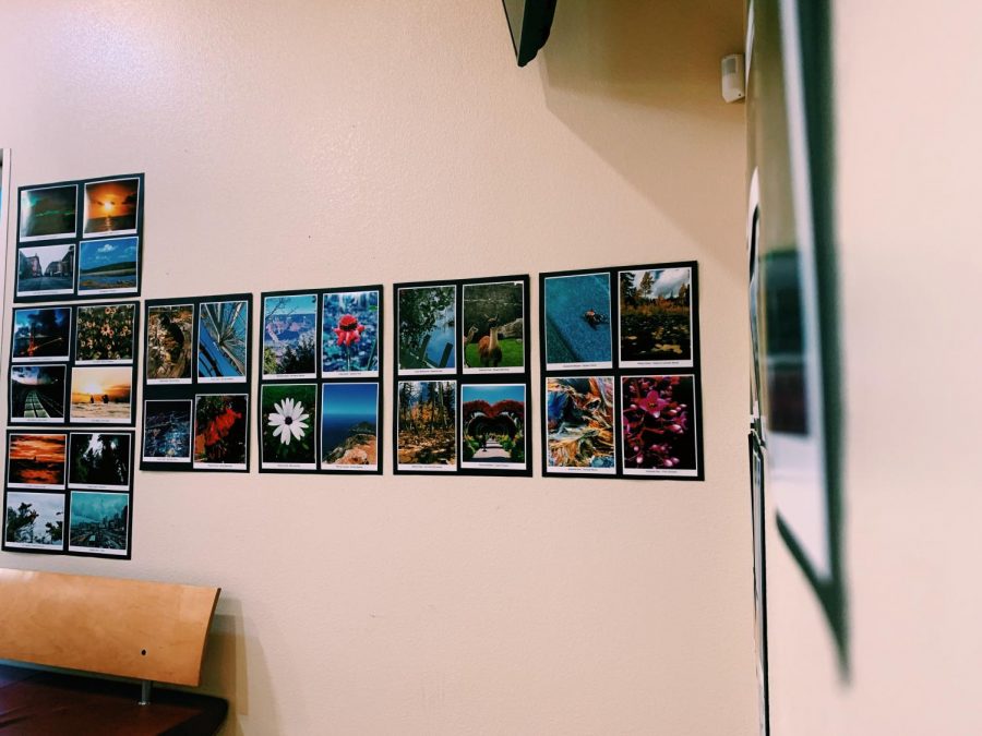 Photos that were submitted and displayed in the CPAC for all students and teachers to see!