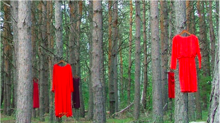 The+red+dress+project+brings+awareness+to+the+MMIW+Movement+with+the+dresses+representing+the+missing+and+murdered+women.