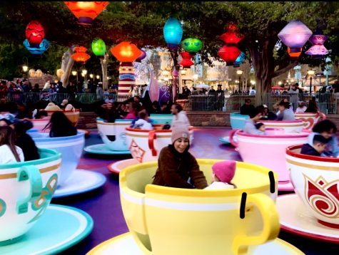 Everyone is Mad about the Tea Cups. 