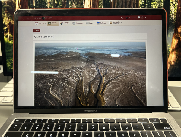 Farewell to Online Learning Days